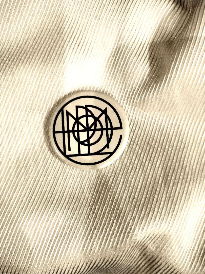 P-MODEL 平沢進 CD オマケ付き