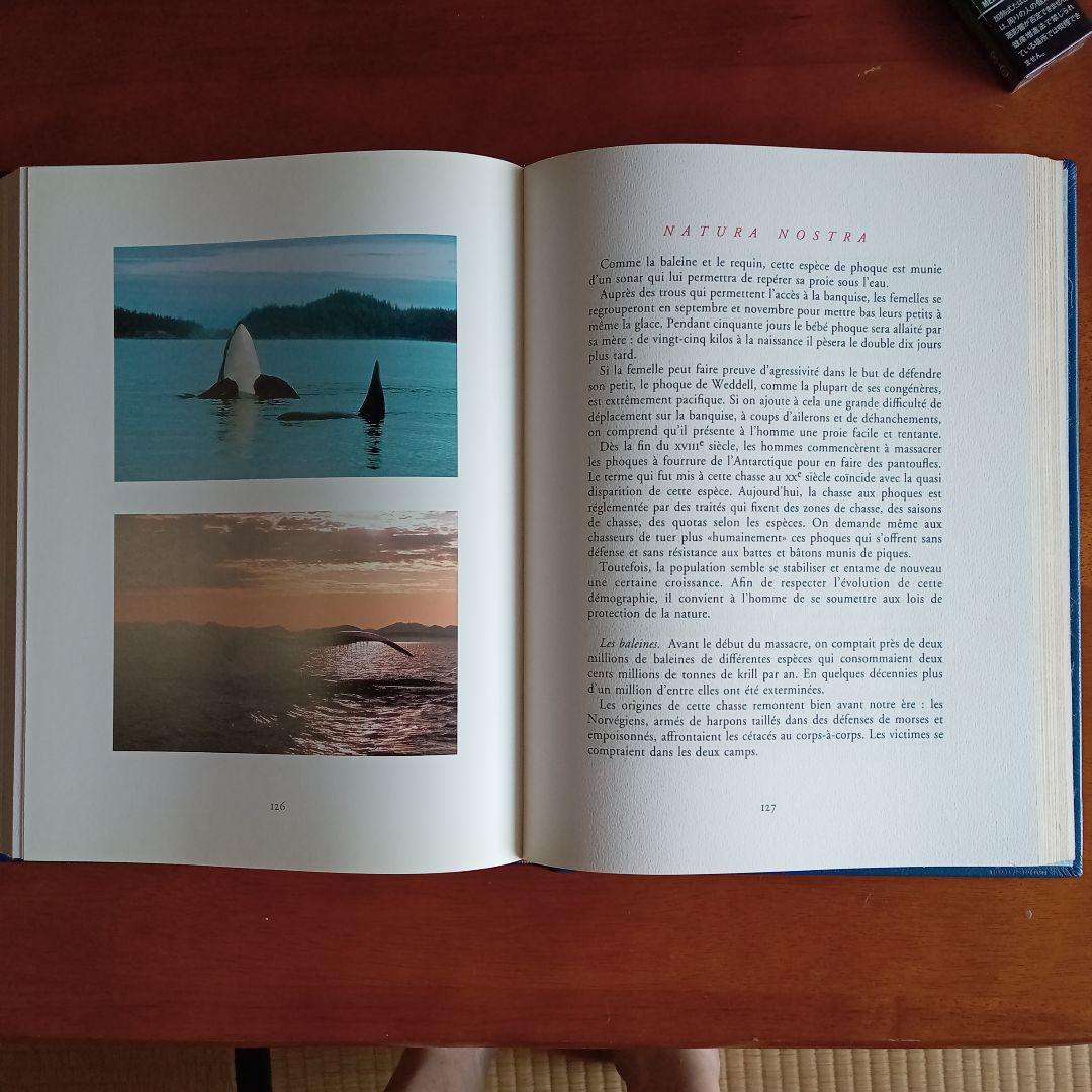 フランス大型本　ナチュラ　ノストラ　革装　三方金仏語文　１９９０年