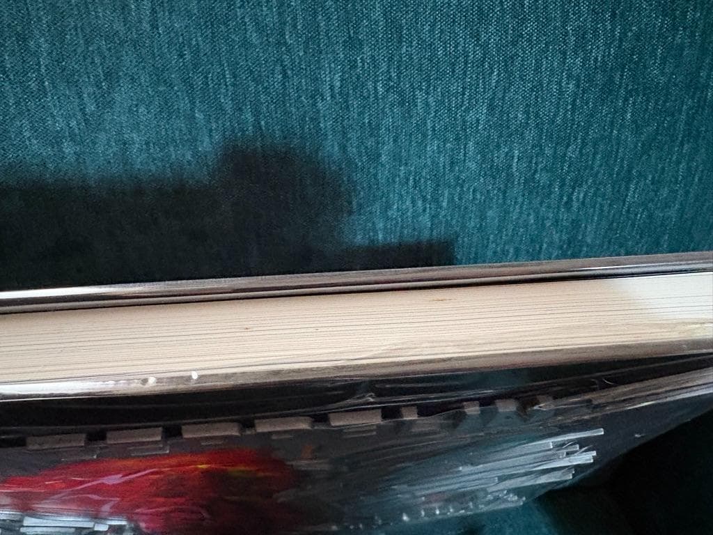 LED ZEPPELIN 写真集 2冊セット