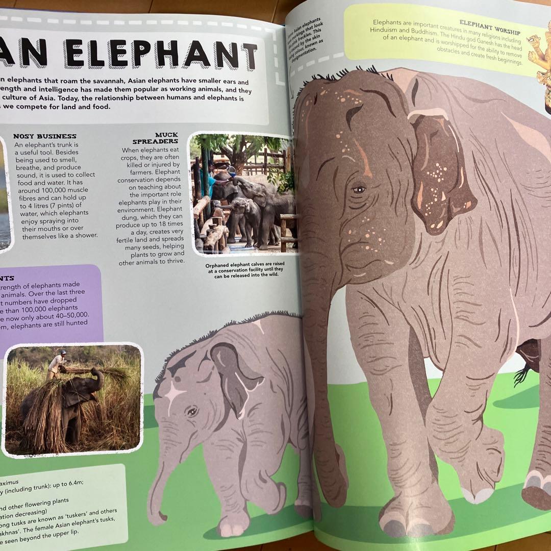 lonely planet kids 英語洋書大型図鑑の7冊セット