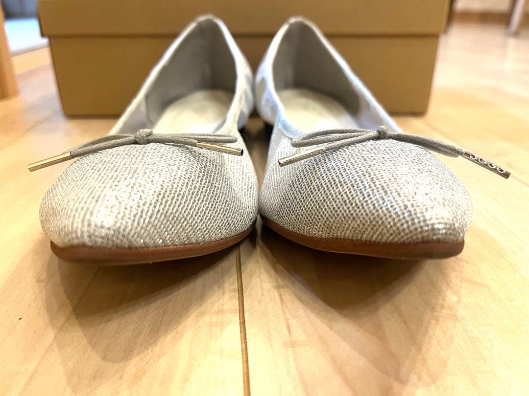 LE TALON ポインテッドギャザーネットバレエ