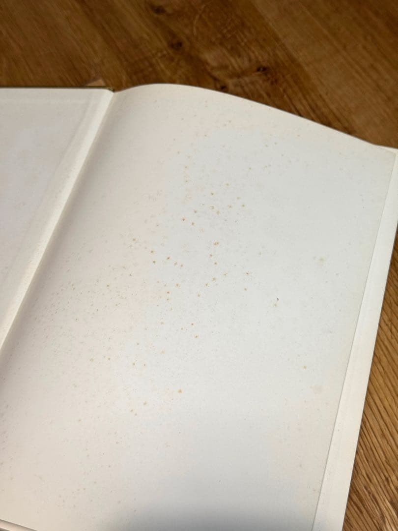 【入手困難】Juergen Teller ユルゲン・テラー GO-SEES