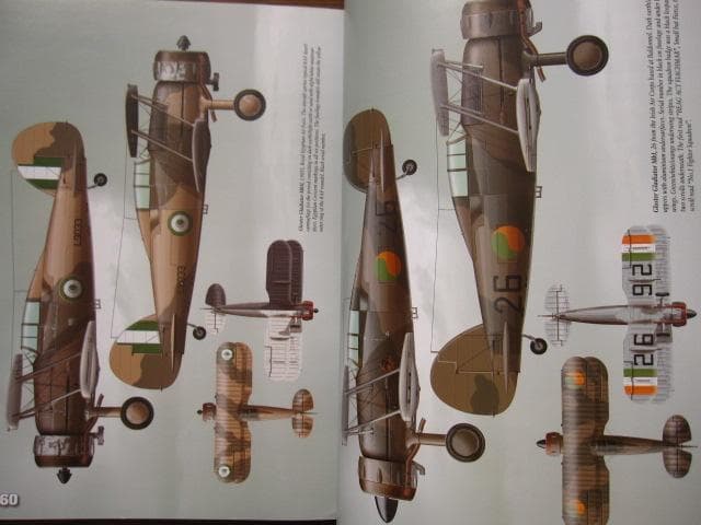 洋書 Gloster Gladiator (1) / Alex Crawford