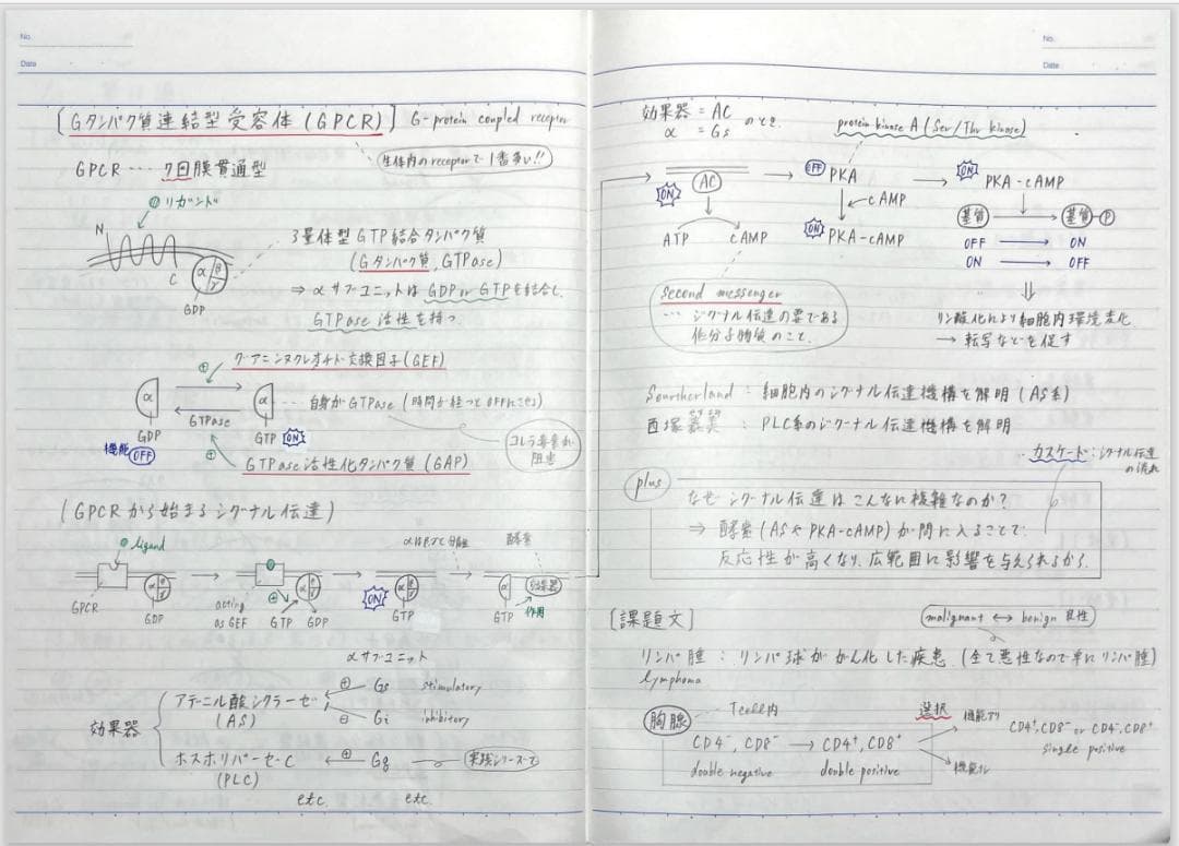 医学部学士編入 河合塾KALS 合格者講義ノート（基礎＋完成＋実戦）