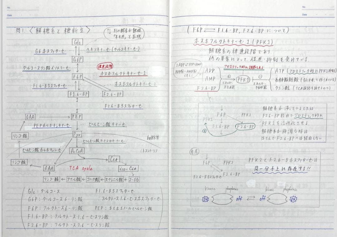 医学部学士編入 河合塾KALS 合格者講義ノート（基礎＋完成＋実戦）