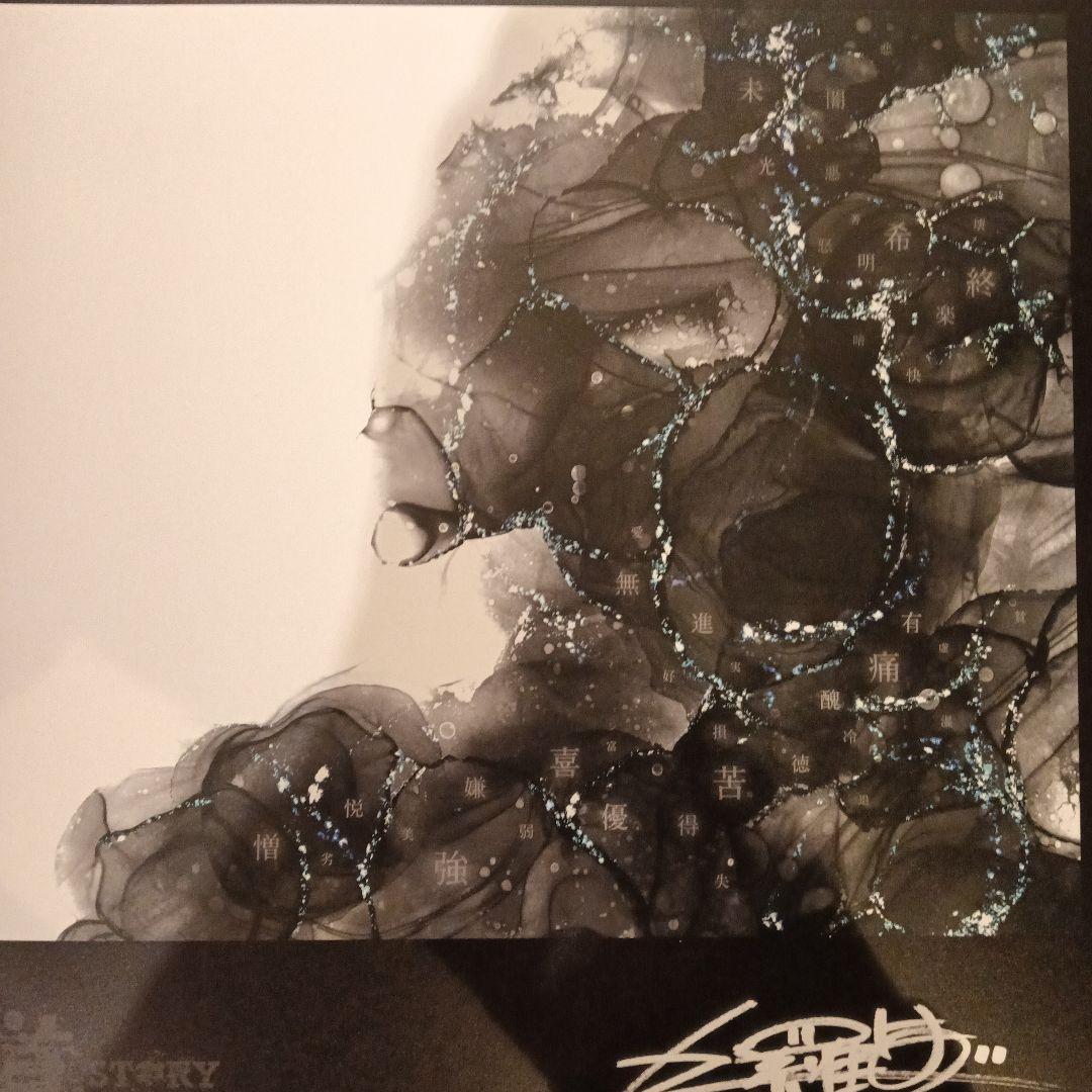 DJ KRUSH STORY 12インチレコード新品