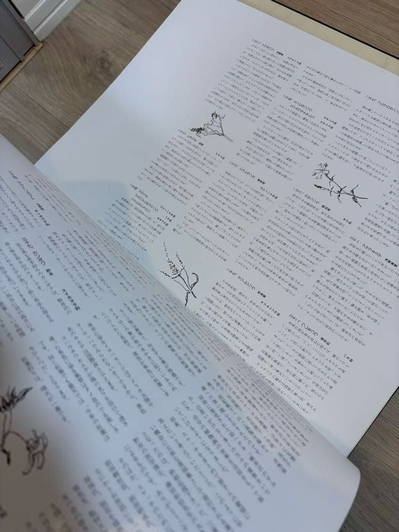 軽井沢の草花素描集 石川功一　定価36000円