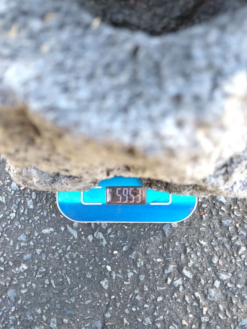 ADA 雲山石 XL 穴3個 水槽 レイアウト石 水槽レイアウト 水槽用石