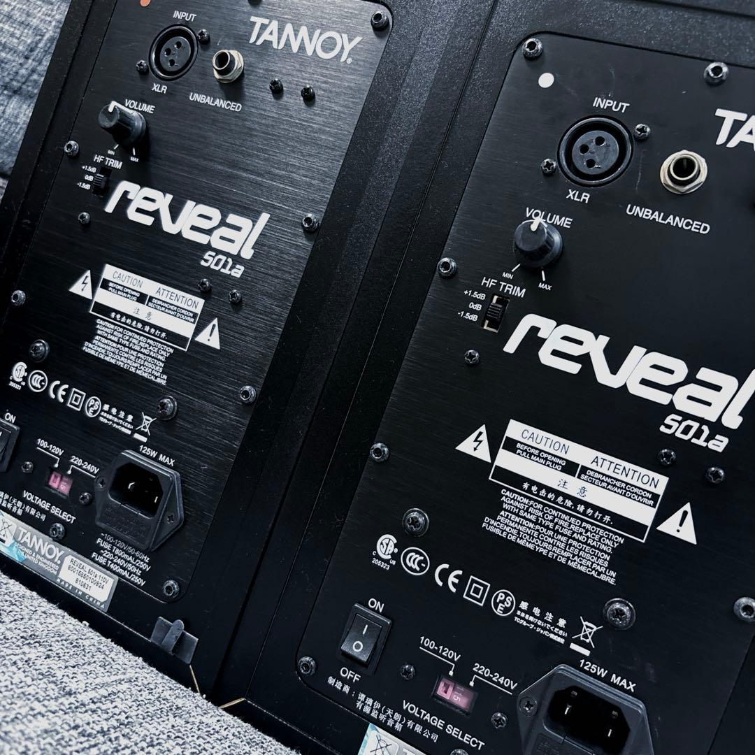 Tannoy Reveal 501a ペア