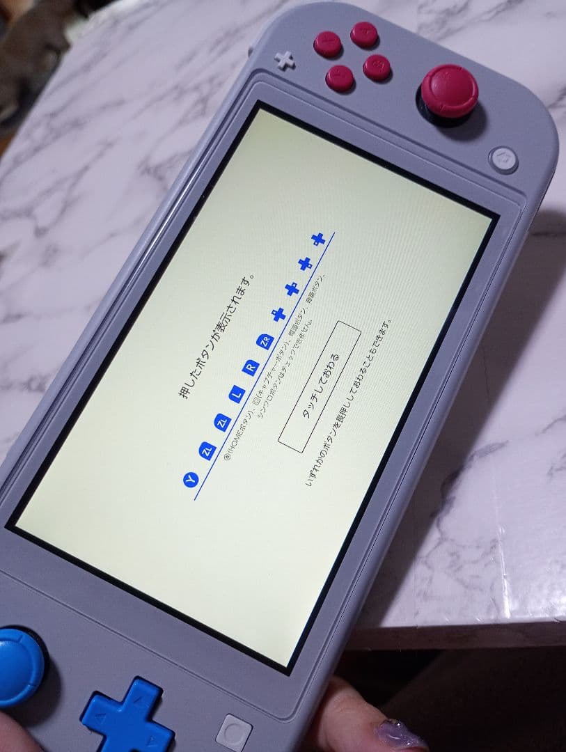 Nintendo Switch Lite グレー ポケモン