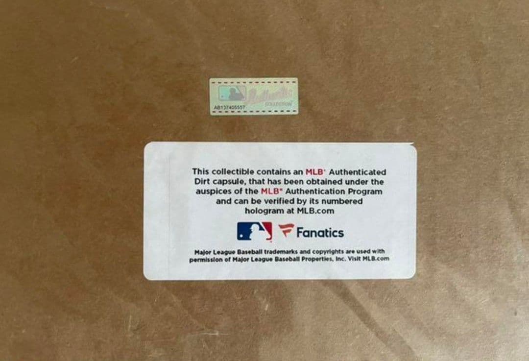 大谷翔平 【250個限定】 レプリカラインナップカードフレーム フォトミント