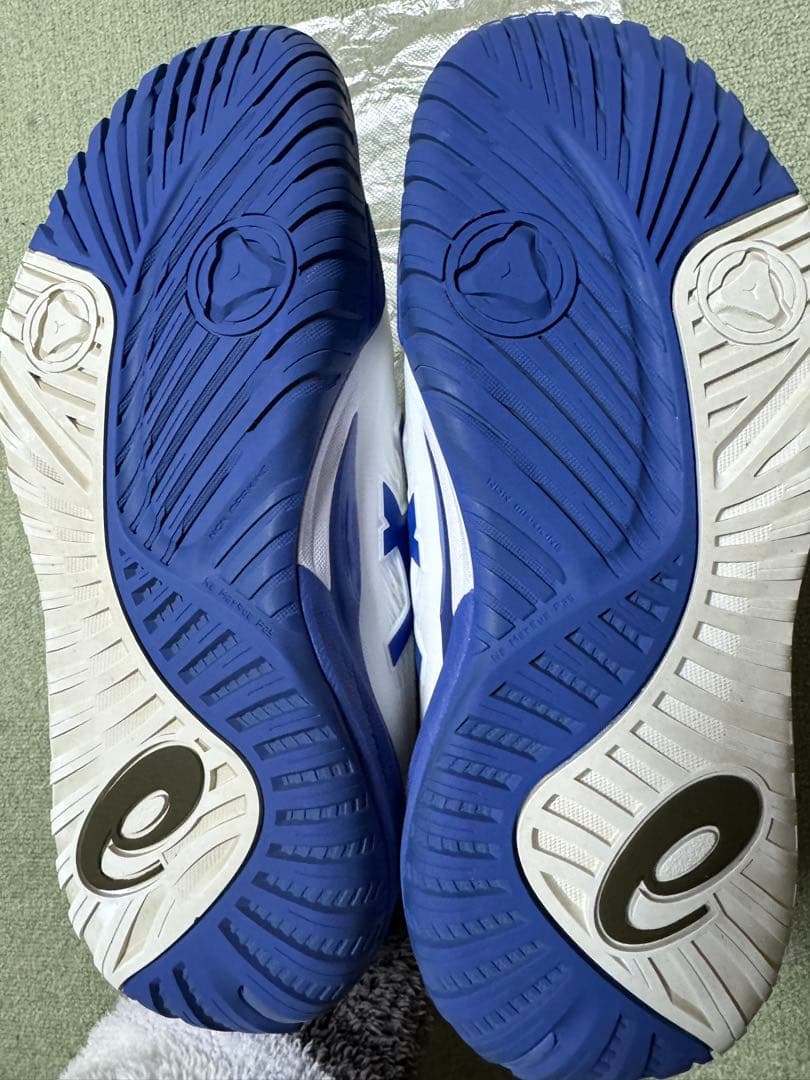 アシックス　ゲルレゾリューションX (25.5cm)