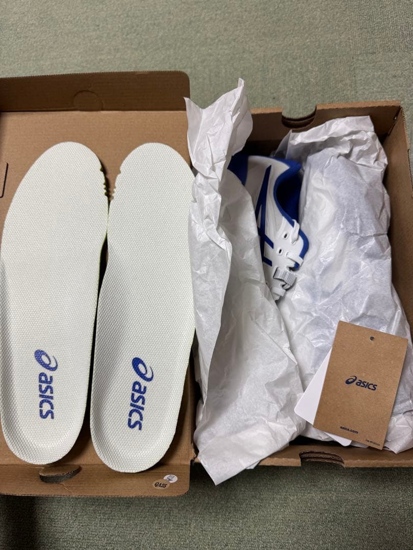 アシックス　ゲルレゾリューションX (25.5cm)