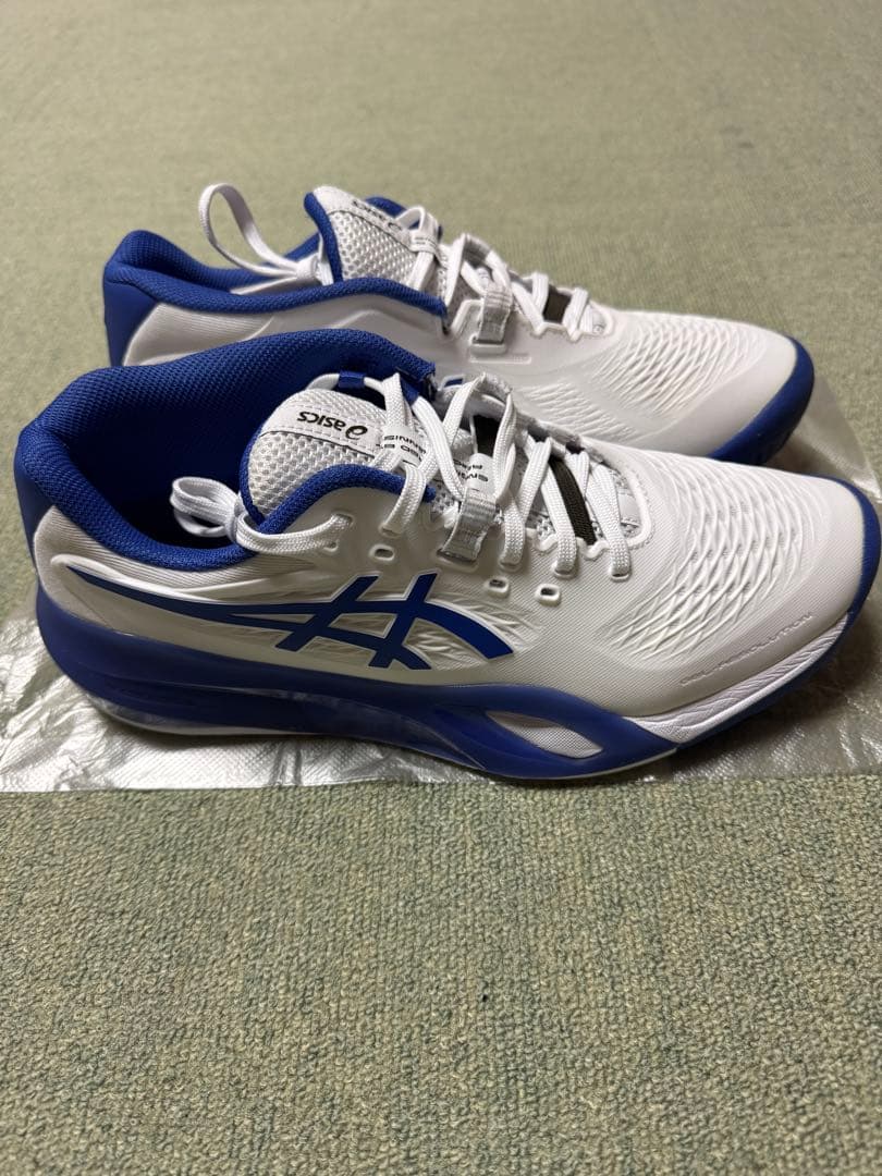 アシックス　ゲルレゾリューションX (25.5cm)