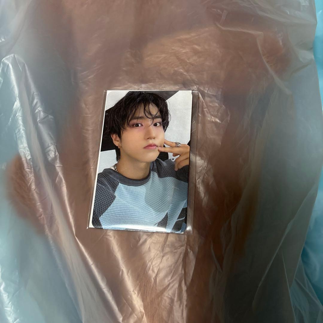 アイドル skzoo plush bag HAN QUOKKA