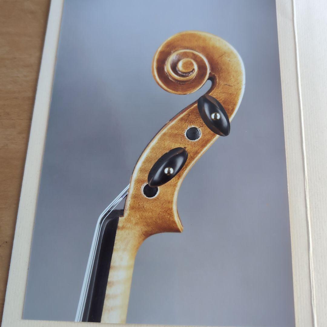 鑑定書有りVioline B. Guadagnini バイオリン PG803E