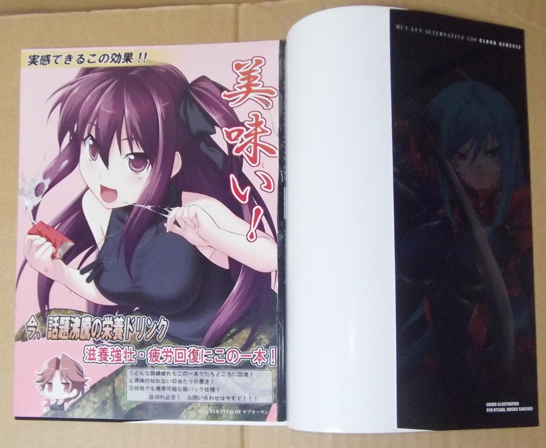 最終値下げ マブラヴ・オルタネイティヴ LD8 クラウドジェネシス 欠落 難あり