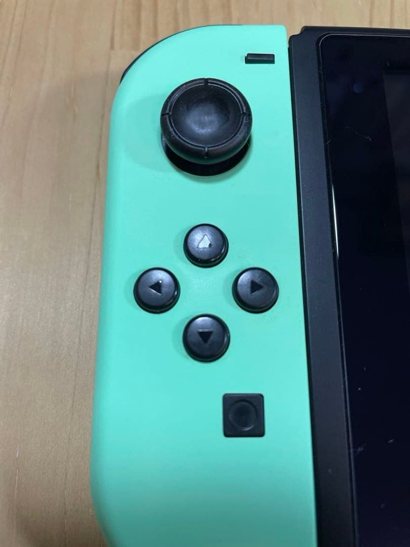 Nintendo Switch あつまれ どうぶつの森セット 本体保護ケース付