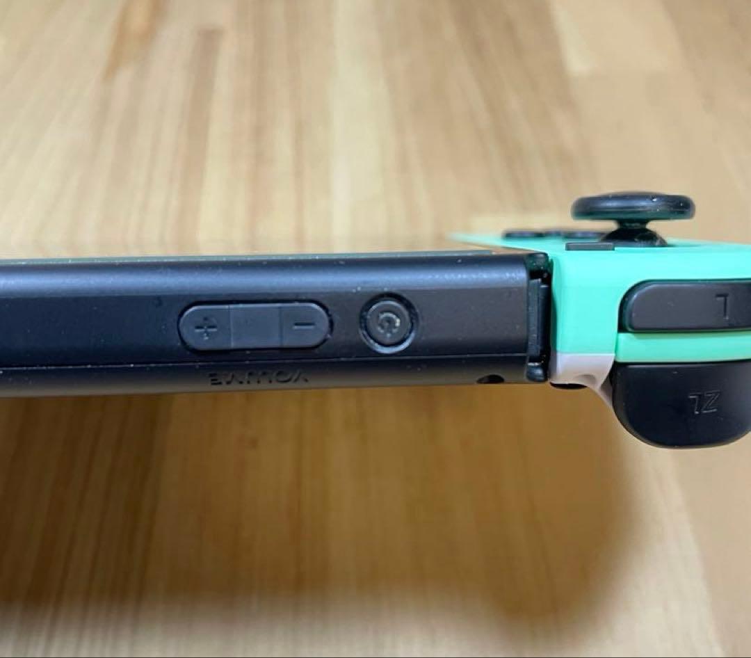 Nintendo Switch あつまれ どうぶつの森セット 本体保護ケース付