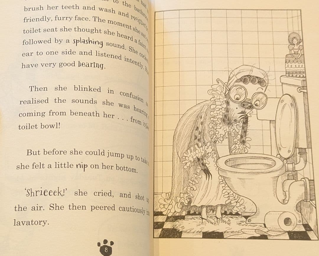 セール　チャプターブック13冊　英語の本