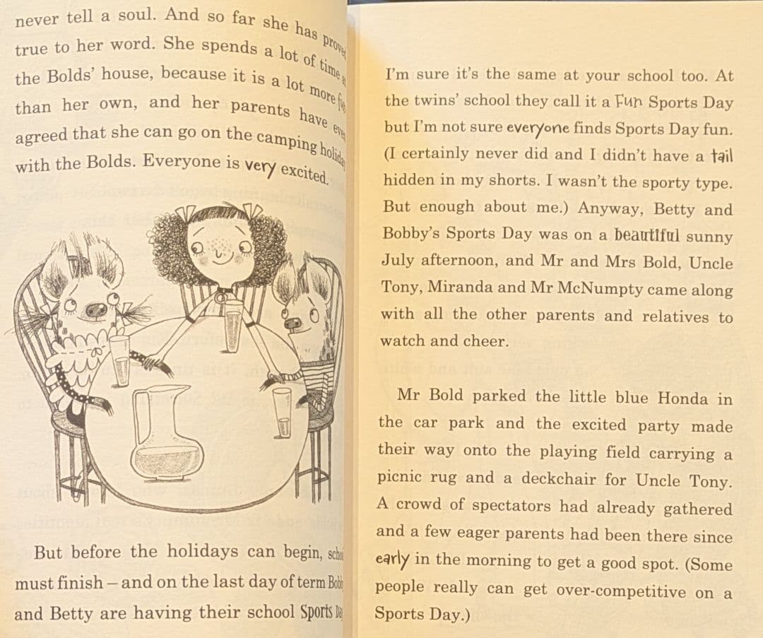 セール　チャプターブック13冊　英語の本