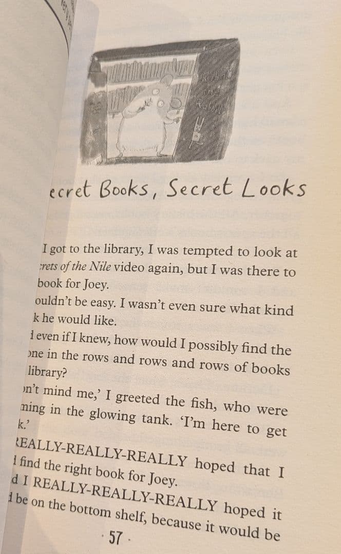 セール　チャプターブック13冊　英語の本