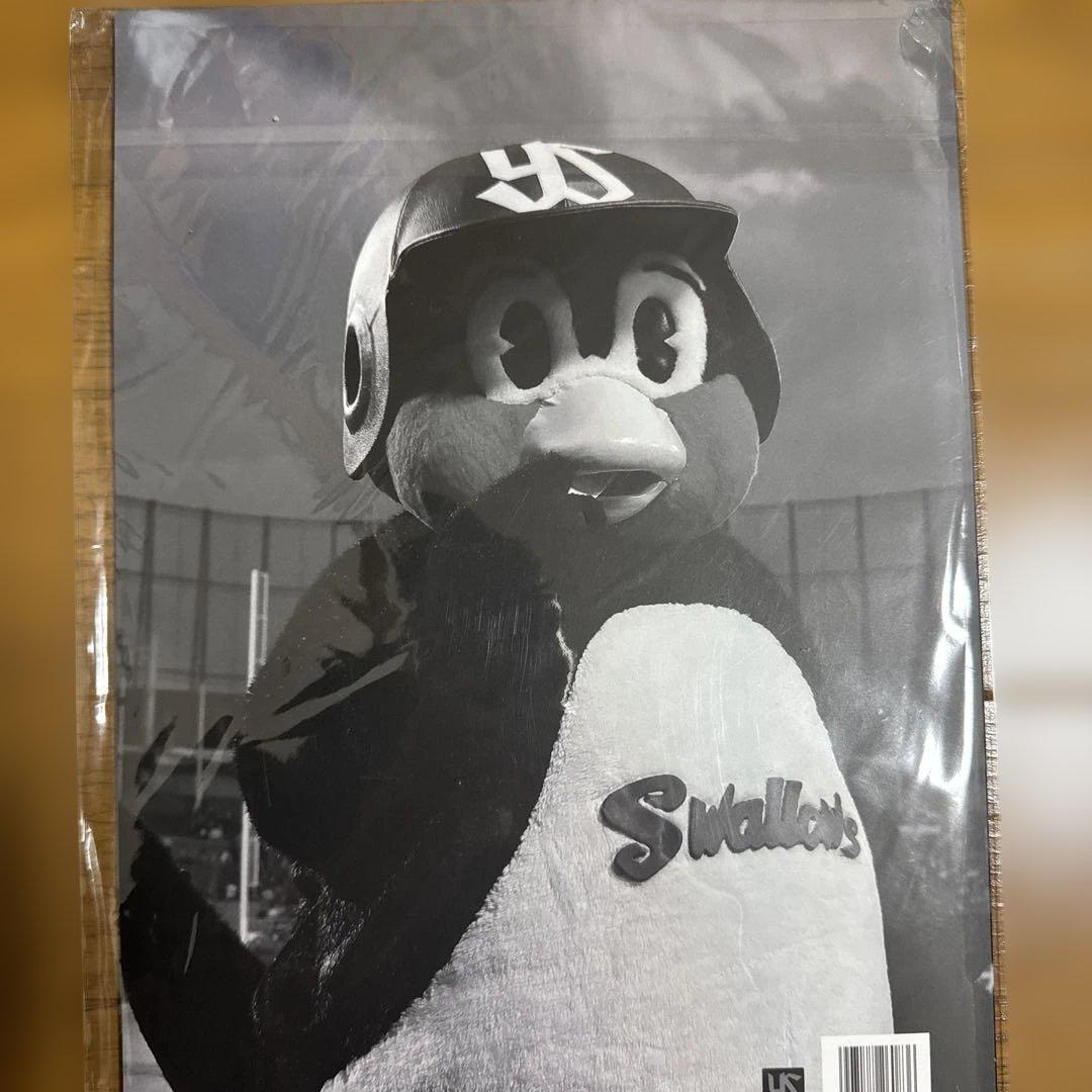 つば九郎　ふぉとぶっく2022 A4size