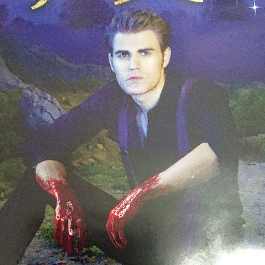 ヴァンパイアダイアリーズ　ポスター　当時もの