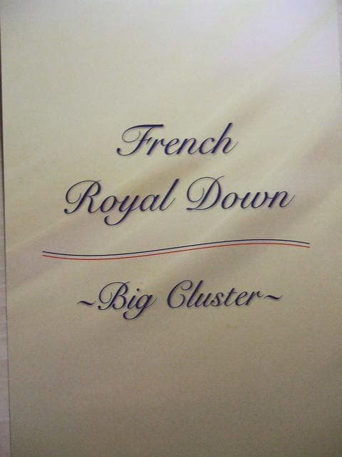 在庫限定激安価格！新品＊ロイヤル＊フランス９３％＊増量１，３キロ＊羽毛布団ＳＰ