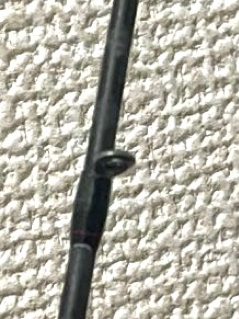 シマノ セフィアBB S83ML エギングロッド