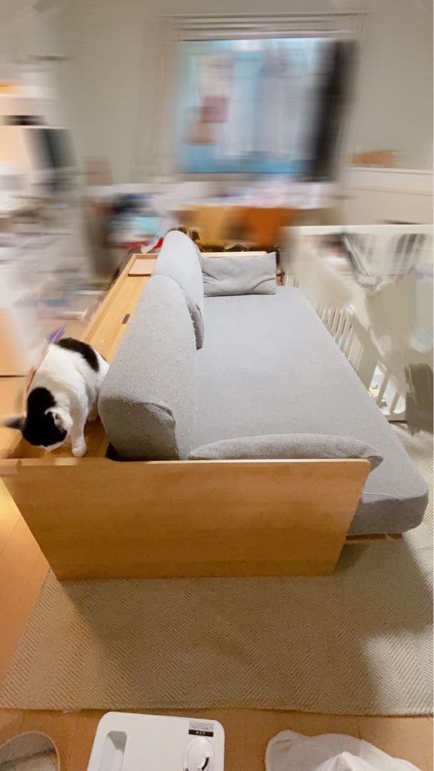 【最終値下げ】ニトリ 3WAYベッドソファ コンセント USBポート付き