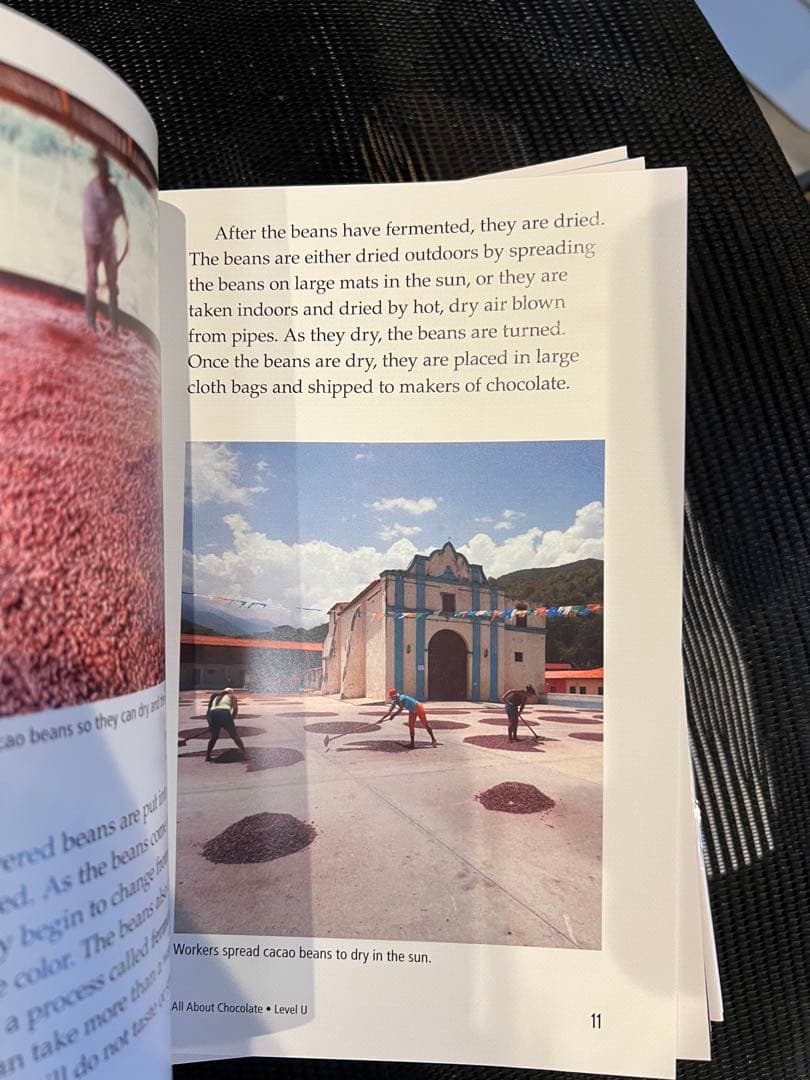 raz (Reading A-Z) level U 90冊