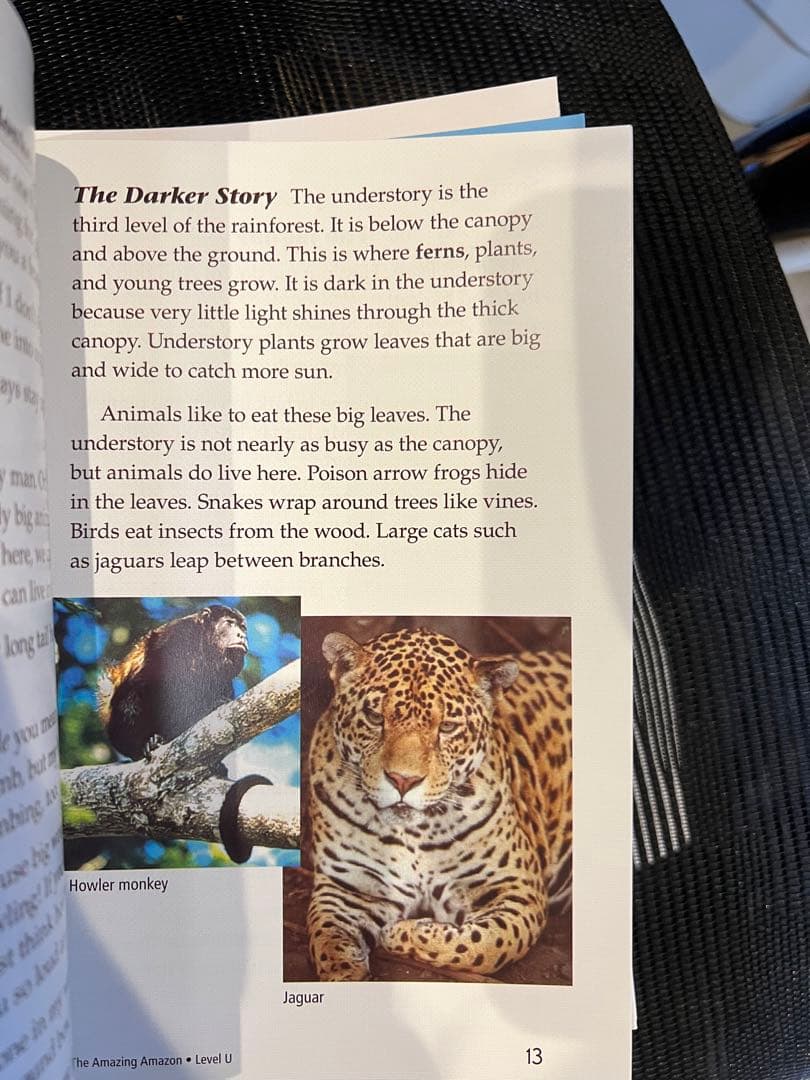 raz (Reading A-Z) level U 90冊