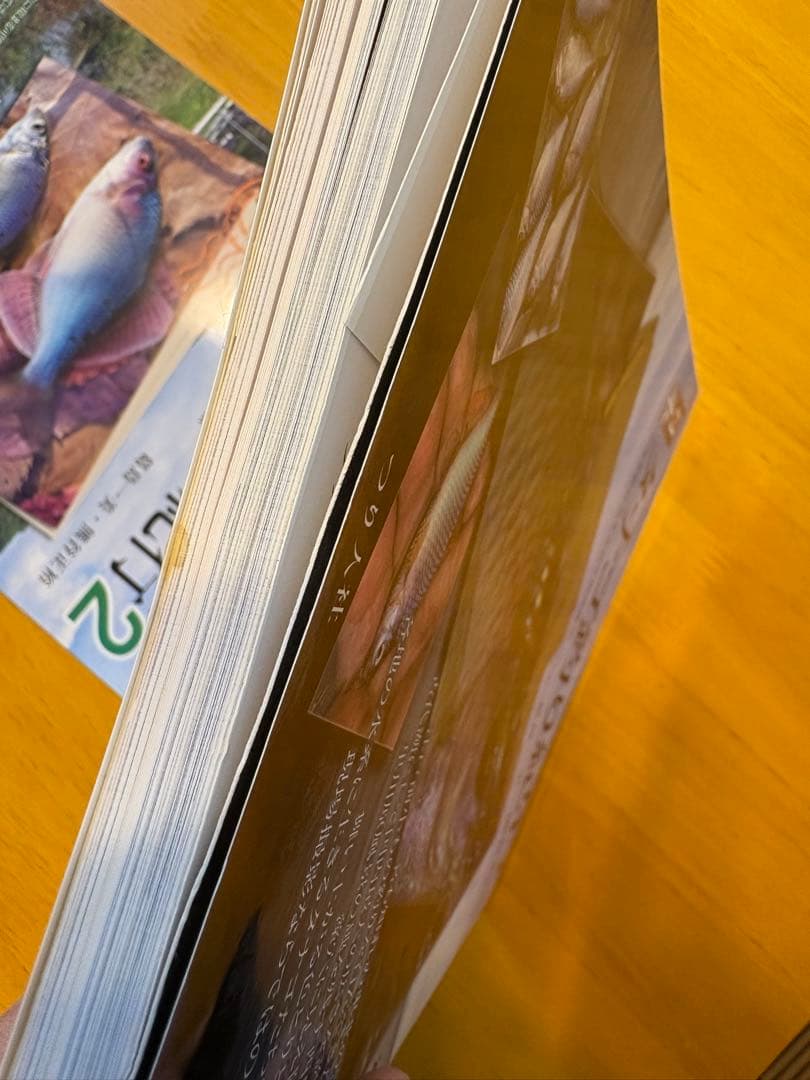 日本タナゴ釣り紀行 1&2セット