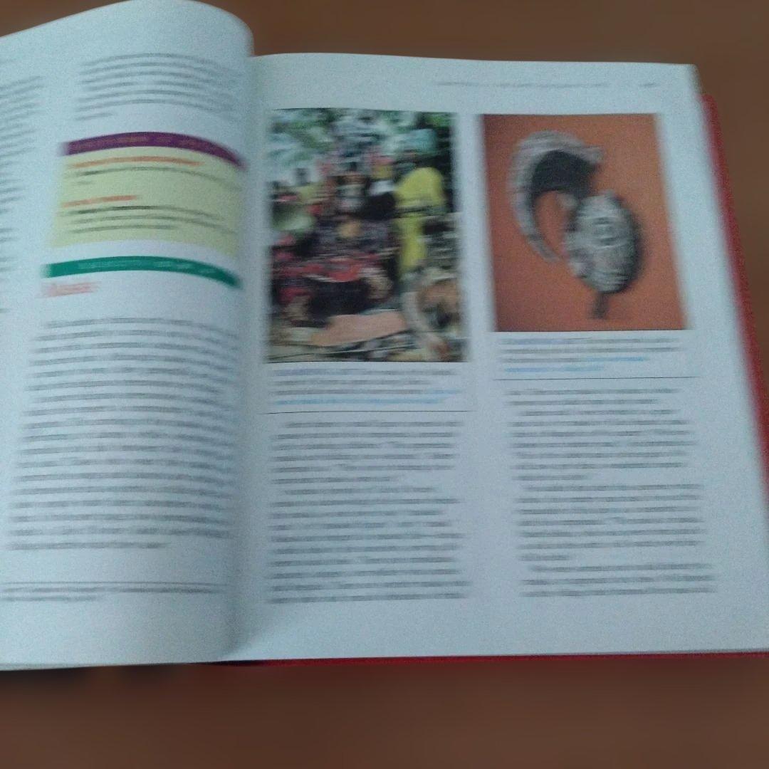 洋書 GLOBAL INSIGHTS: PEOPLE AND CULTURES