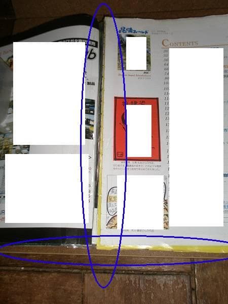 昆虫フィールド 16冊