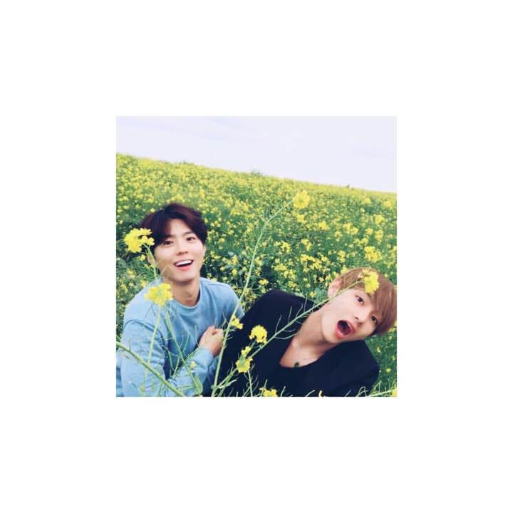 コメント専用ページ