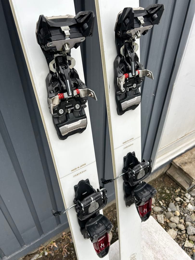 Vector Glide マスティフ