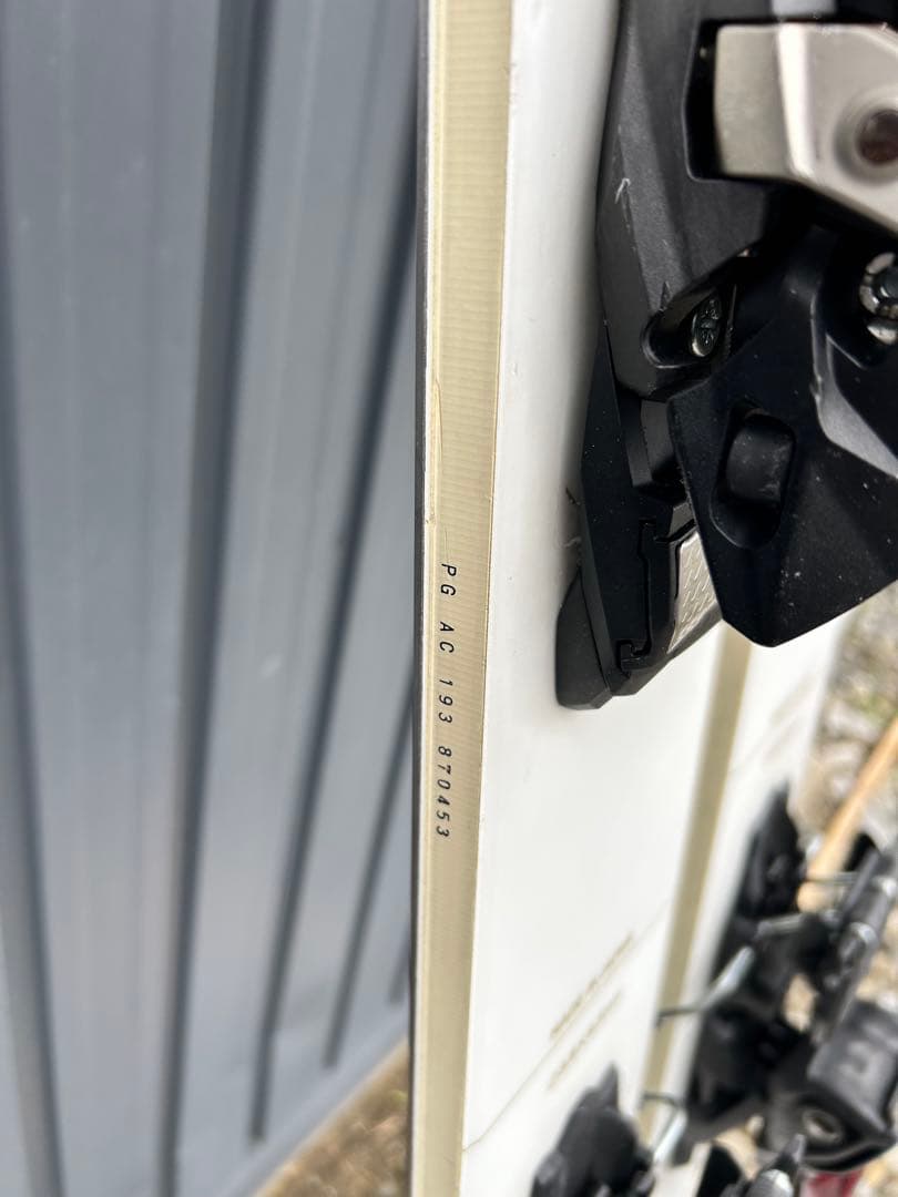 Vector Glide マスティフ