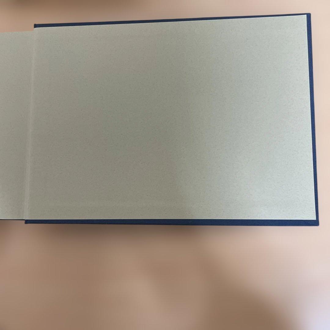 【稀少】王の牧歌　テニスン