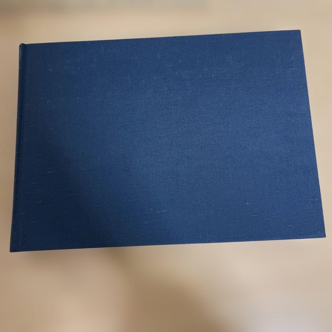 【稀少】王の牧歌　テニスン