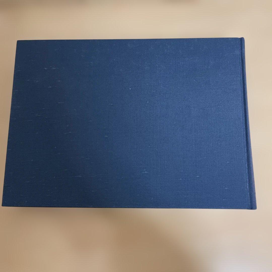 【稀少】王の牧歌　テニスン