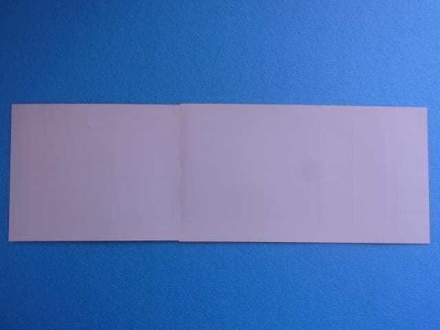 非売品　悪魔城ドラキュラＸ 月下の夜想曲　プレイステーション　ダミージャケット