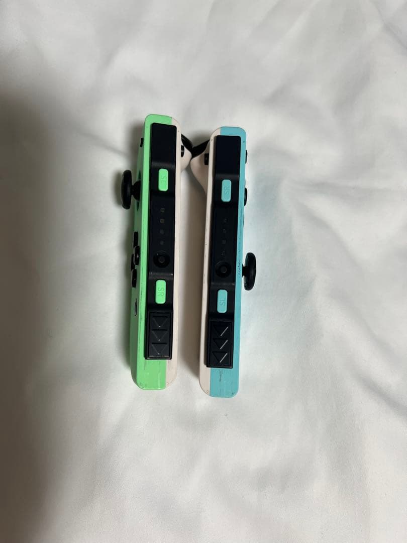 Nintendo Switch本体 あつまれ どうぶつの森セット