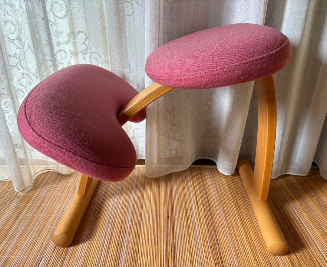 Rybo Balans EASY カバー付き