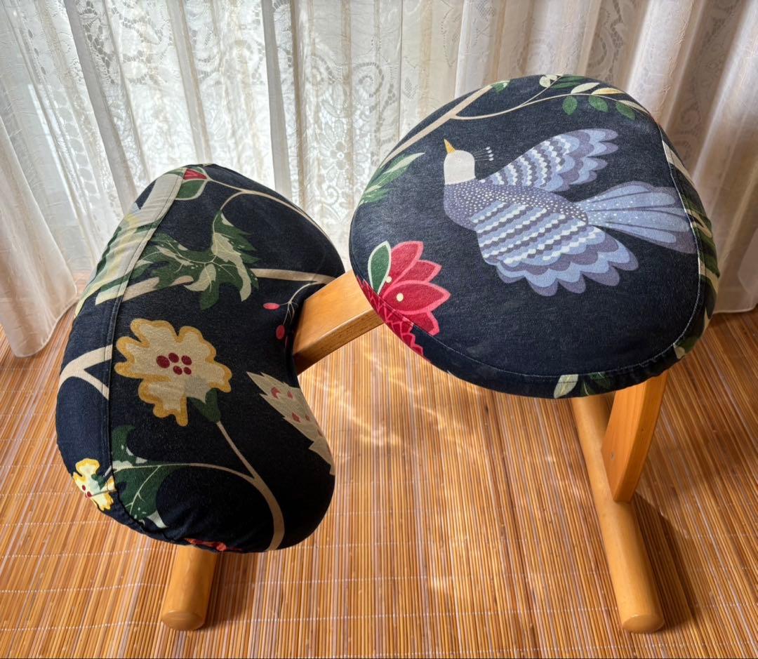 Rybo Balans EASY カバー付き