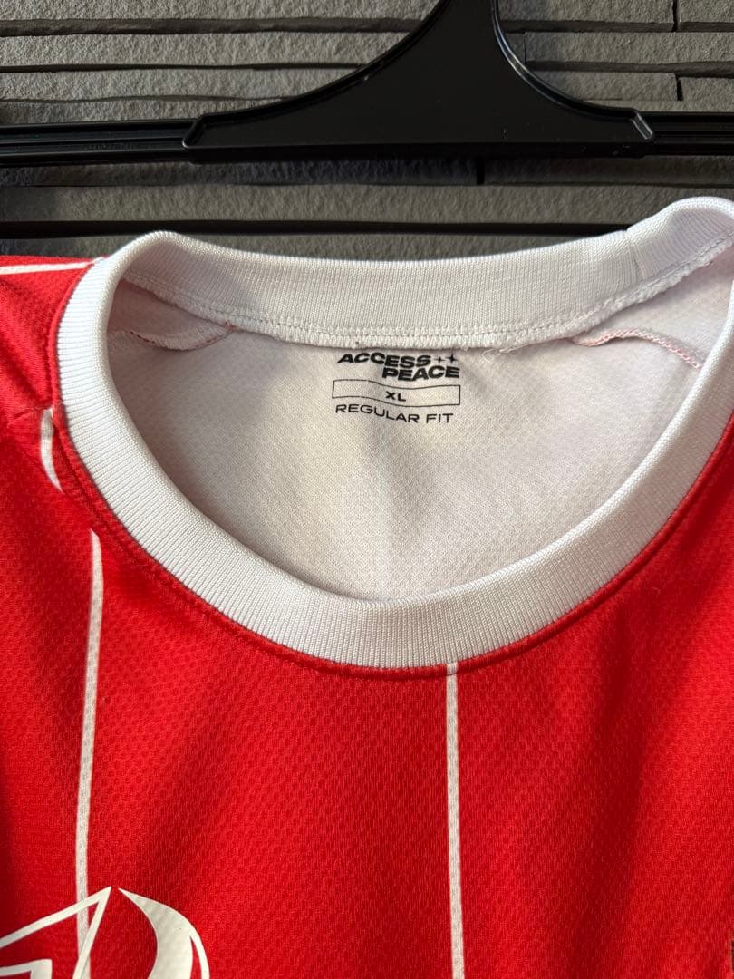 【希少】ACCESS PEACE ロンT 赤