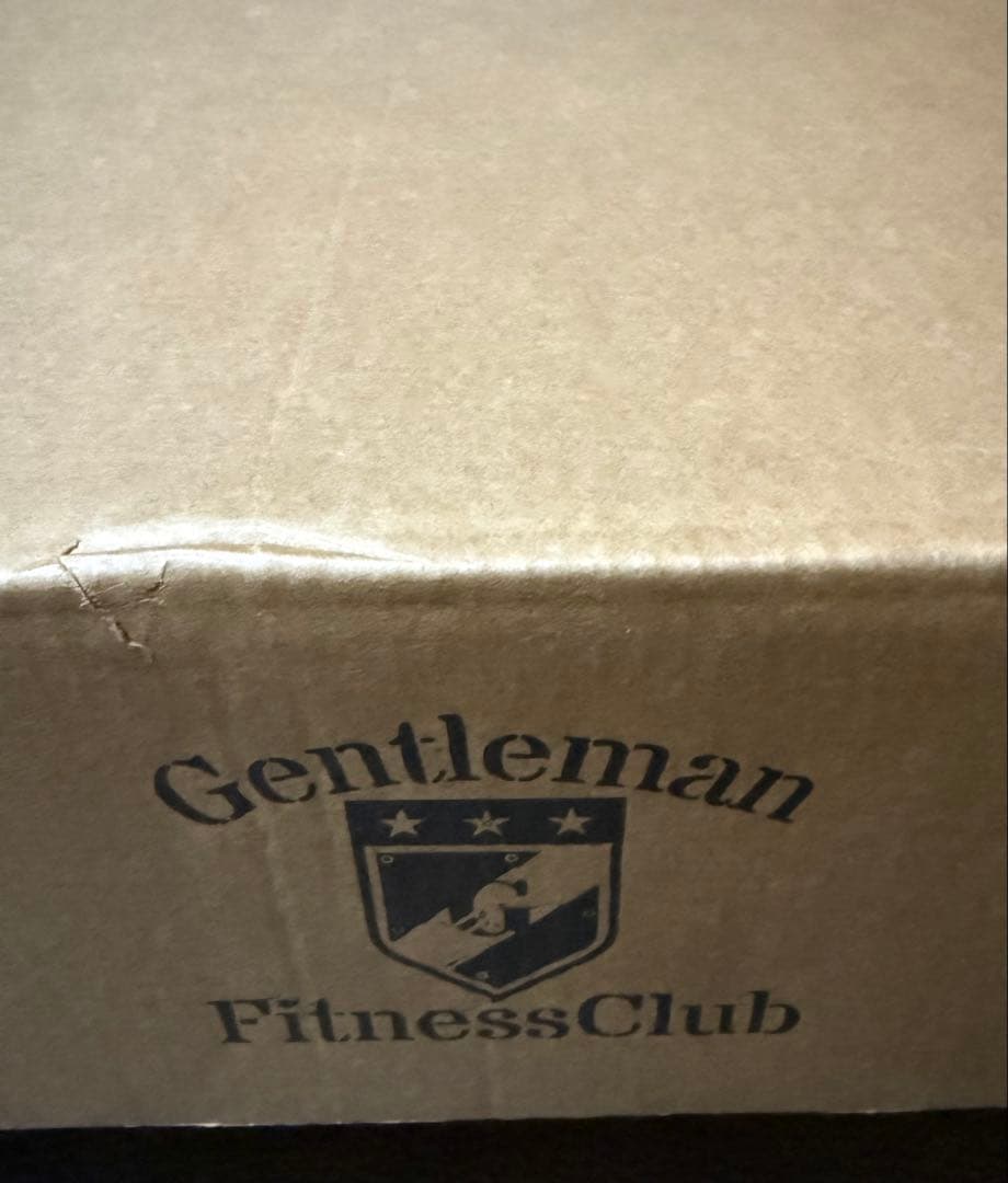 飛延　gfc 完全未使用　アタッチメントベース