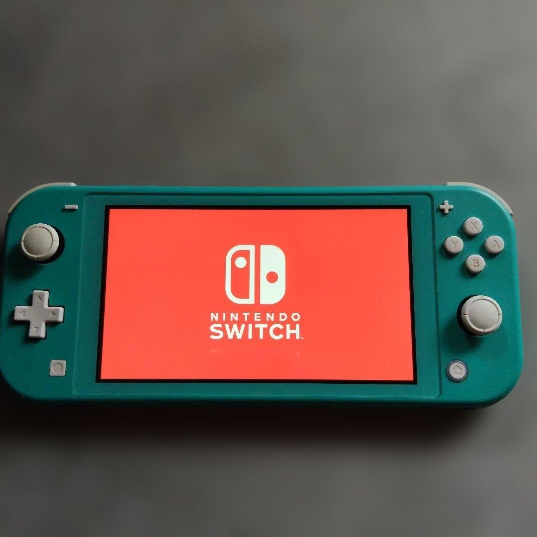 Nintendo Switch Lite 充電器付き