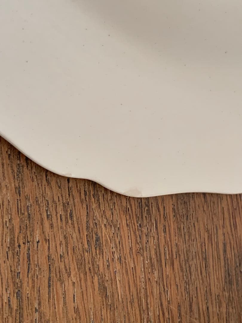 フランスアンティーク　サルグミンヌ　アグレスト　野花　皿　プレート　6枚セット